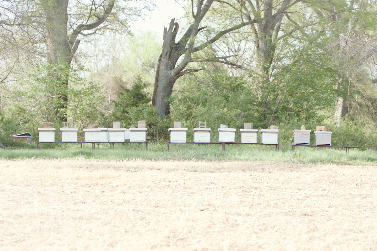 Southern Vintage Wedding Photography 1